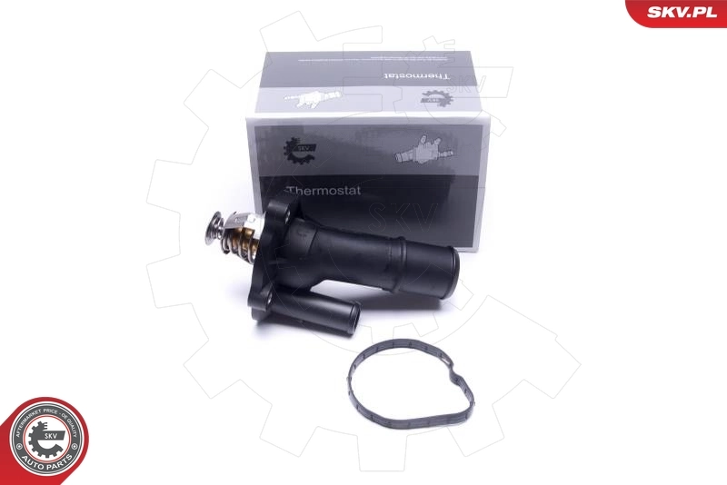 Thermostat, coolant
